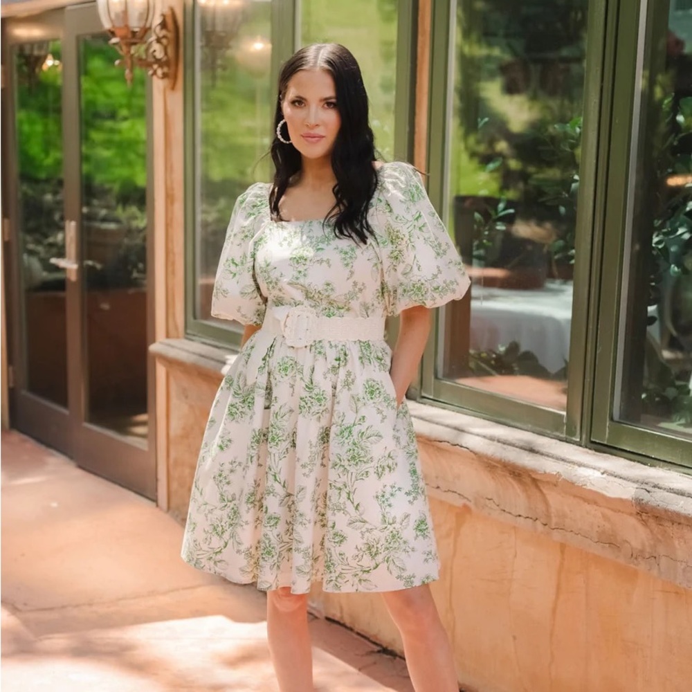 Rachel Parcell green toile dress sz 8